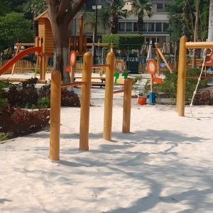 011 Balancing & Climbing