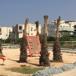 014 Balancing & Climbing