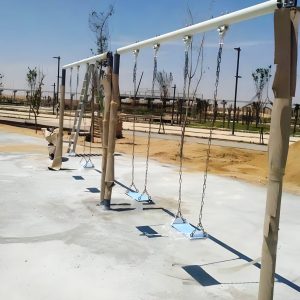 006 Double Swing Metal