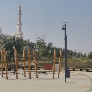 008 Balancing & Climbing