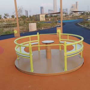 005 Wheel Chair Roundabout