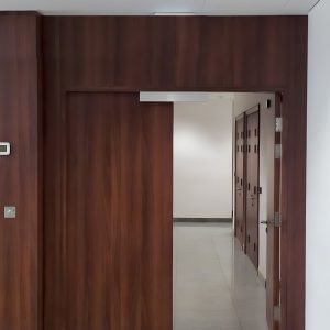 Doors 05
