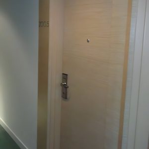 Doors 18