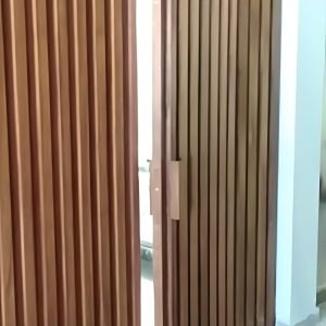 Doors 22