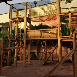 023 Jungle 2