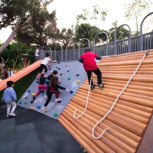 004 Balancing & Climbing