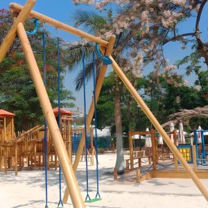 003 High Swing