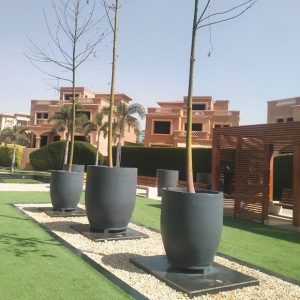 Planter 004