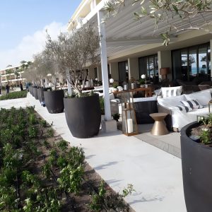 Planter 005
