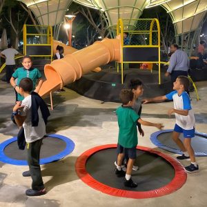 014 Trampolines